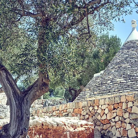度假居 Trullo